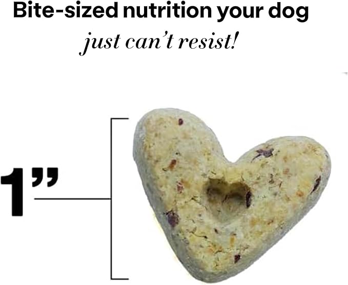 Wild Earth Superfood Dog Treats, Plant Based Dog Treats with Omega Acids, Prebiotics & Koji Protein, No Fillers, Veterinarian-Developed, Strawberry & Beet Flavor