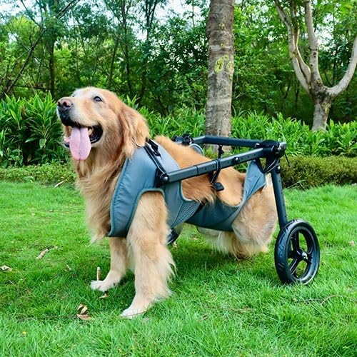 Pet Trolley Adjustable Hind Leg Disabled Dog Mobility Aid Light Rehabilitation Legs Wheelchair Walk Tools(Medium)