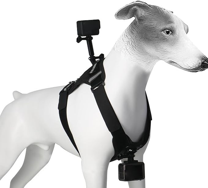 Action Camera Dog Harness Mount, Nylon Pet Harness Vest with Adjustable Straps, Chest & Back Fixation for Large Medium Small Dogs 835kg, Compatibility for Recording