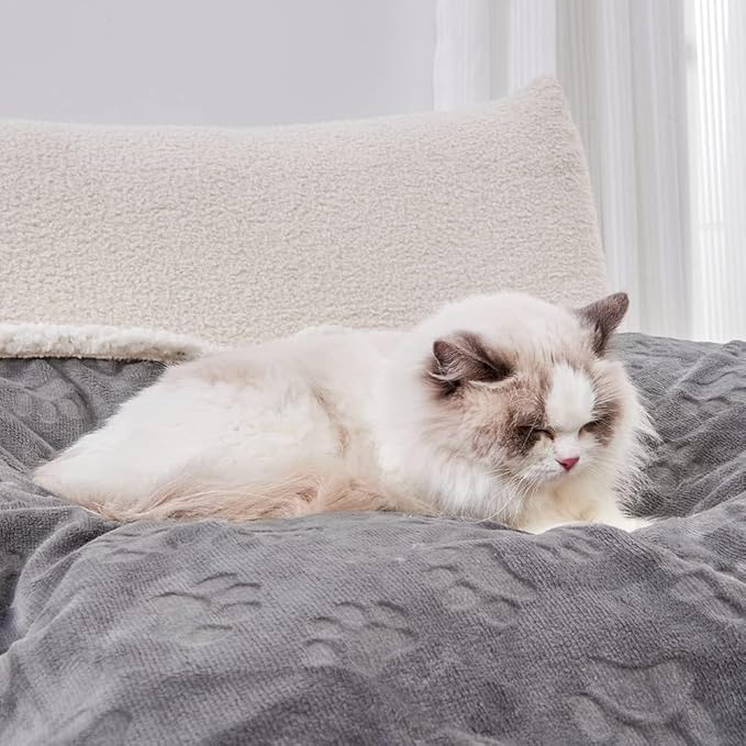 Waterproof Dog Blanket, 60" x 40" Washable Sherpa Fleece Cat Blanket,Pet Puppy Blanket Sofa Bed Furniture Protector,Reversible Soft Plush Blanket for Medium Large Dog (65" x 57")