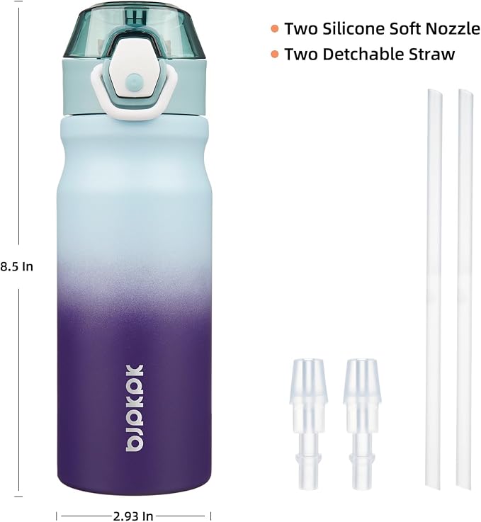 BJPKPK 18 oz Water Bottle with Straw & Handle, Insulated Stainless Flask | Leak