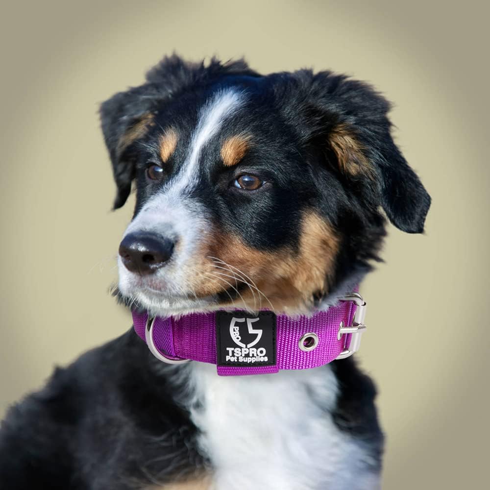 TSPRO Tactical Dog Collar 1.25 Inch Wide Thick Dog Collars with Heavy Duty Metal Buckle, Durable, Strong, Adjustable for Small Dogs (Silver S)