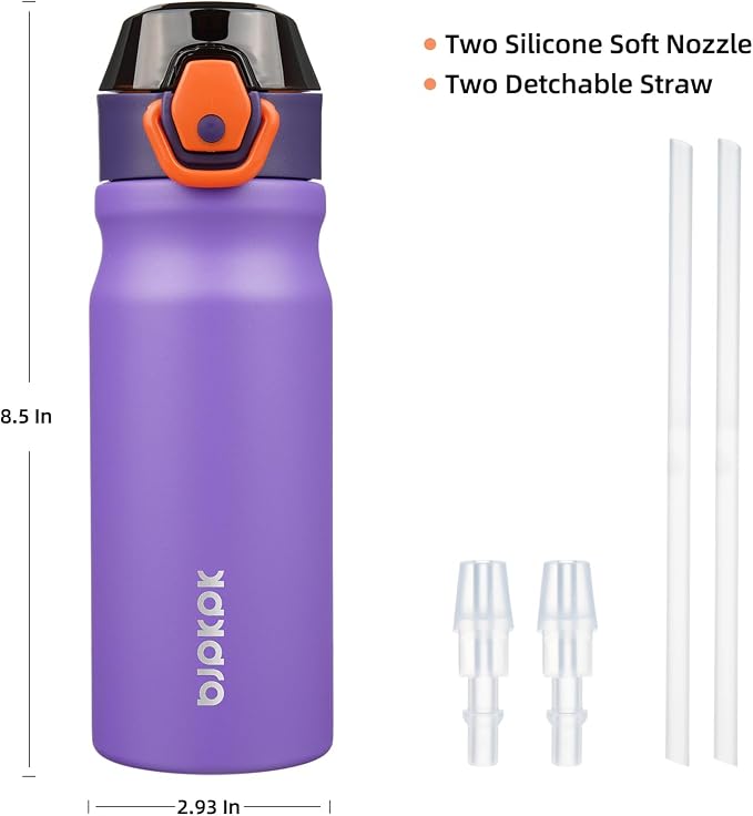 BJPKPK 18 oz Water Bottle with Straw & Handle, Insulated Stainless Flask | Leak