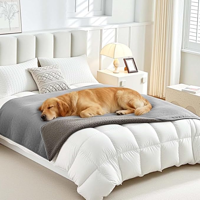 Lekereise Reversible Waterproof Dog Blanket, Super Soft Scratch-Resistant Pet Blanket, Washable Leak-Proof Cover for Sofa Bed Car Seat, for Cats to Large Dogs (Gray, 25" x 35")