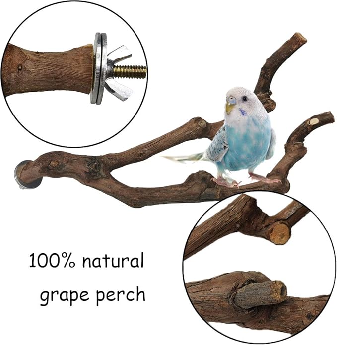 PINVNBY Natural Parrot Perch Bird Stand Pole Wild Grape Stick Paw Grinding Fork Parakeet Climbing Standing Branches Toy Chewable Cage Accessories for Small Lovebirds Budgies Cockatiels 2PCS