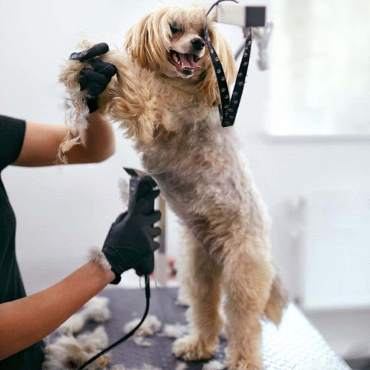 6Pack 10Blades Dog Grooming Blades Compatible with Andis Clipper