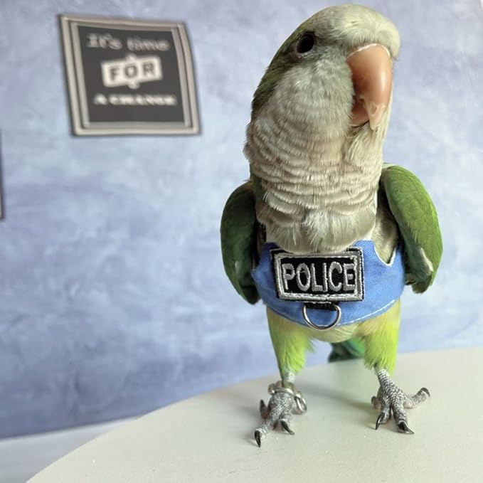 Bird Flight Harness Vest, Parrot Flight Suit with Leash, Bird Flying Clothes with Rope and Handle for Outdoor Activities (with Leash,Sun Conure)