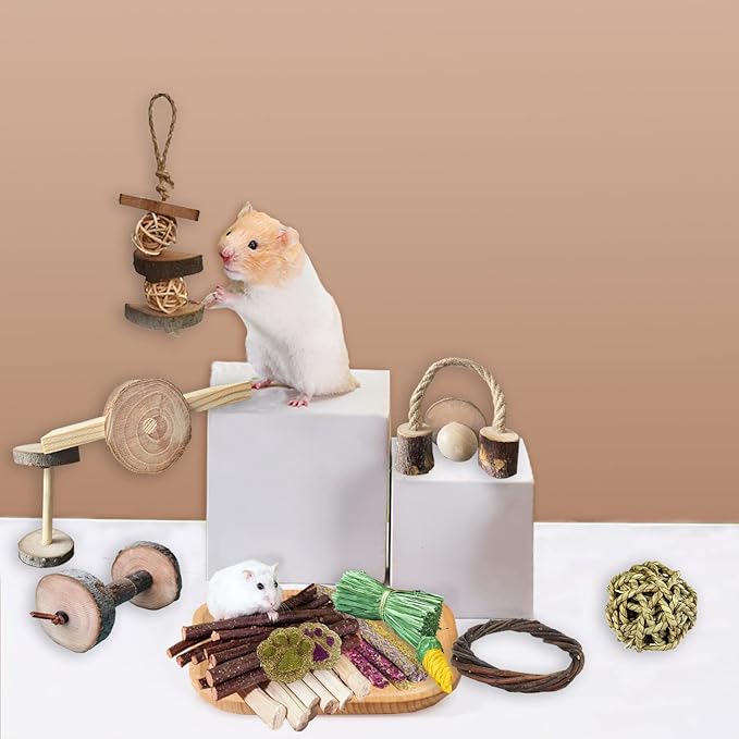 Guinea Pigs Toys, Wooden Rabbit Toys, Bunny for Exercise Molar Teeth Care, Best Choose for Gerbils, Rats, Birds, and Other Small Pets