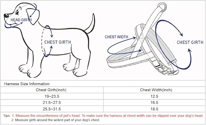 Blueberry Pet 4 Colors Soft & Comfy 3M Reflective Jacquard Padded Dog Harness, Chest Girth 19" - 23.5", Palace Blue, XS/S, Adjustable Harnesses for Dogs