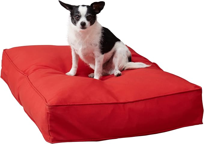 Charlie Rectangle Indoor/Outdoor Pillow Style Dog Bed, Salsa, Small (24" x 36")