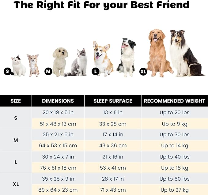 Miguel Dog Bed with Removable Cushion/Pillow for Medium Small Dogs, Washable Pet Bed with Side Easy to Wash Puppy Bed, Large Rectangle Cat Bed for Indoor Cat with Anti-Slip Bottom, Brown 25 Inch