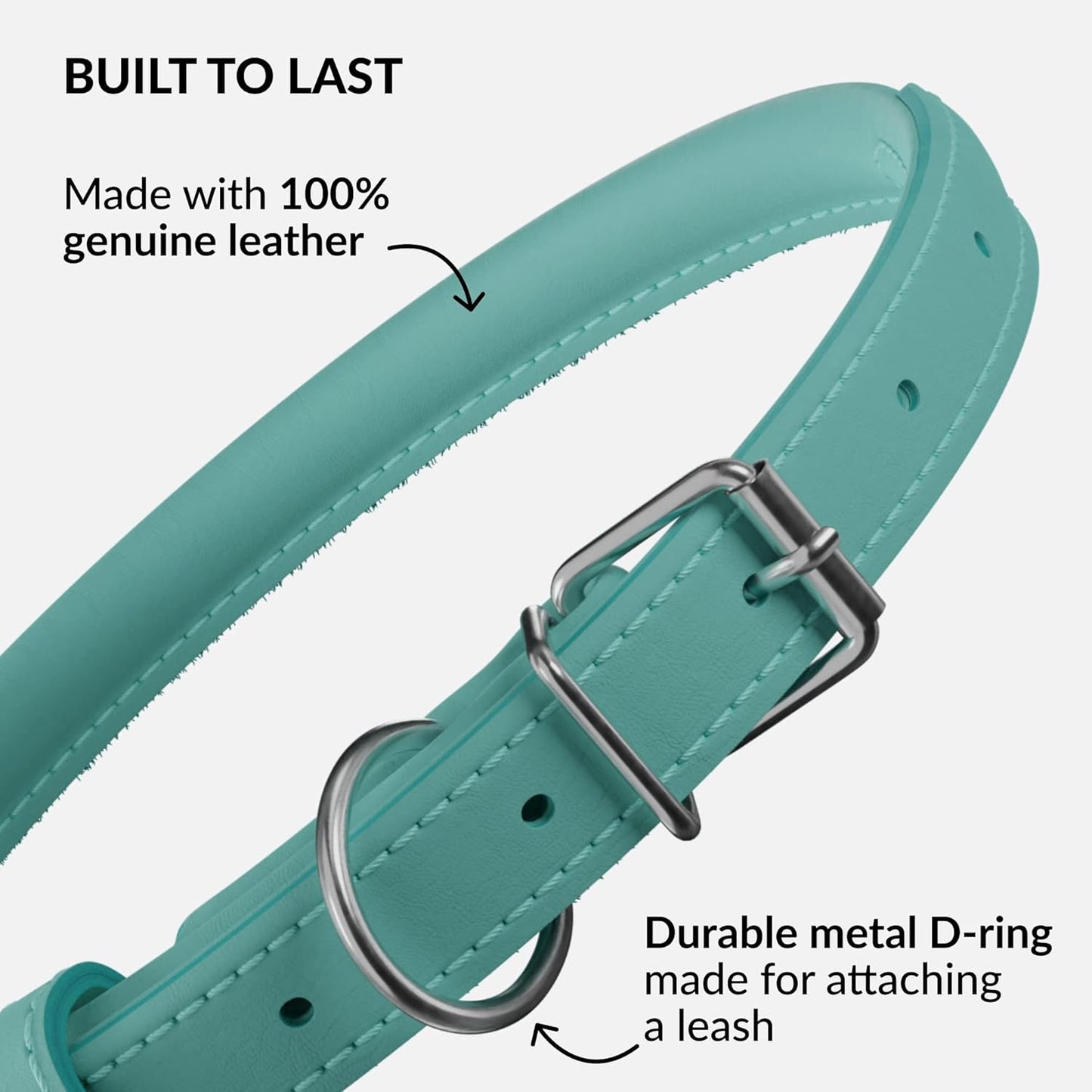 CollarDirect Rolled Leather Dog Collar, Soft Padded Round Puppy Collar, Handmade Genuine Leather Collar Dog Small Large Cat Collars 13 Colors (8-11 Inch, Mint Green Smooth)
