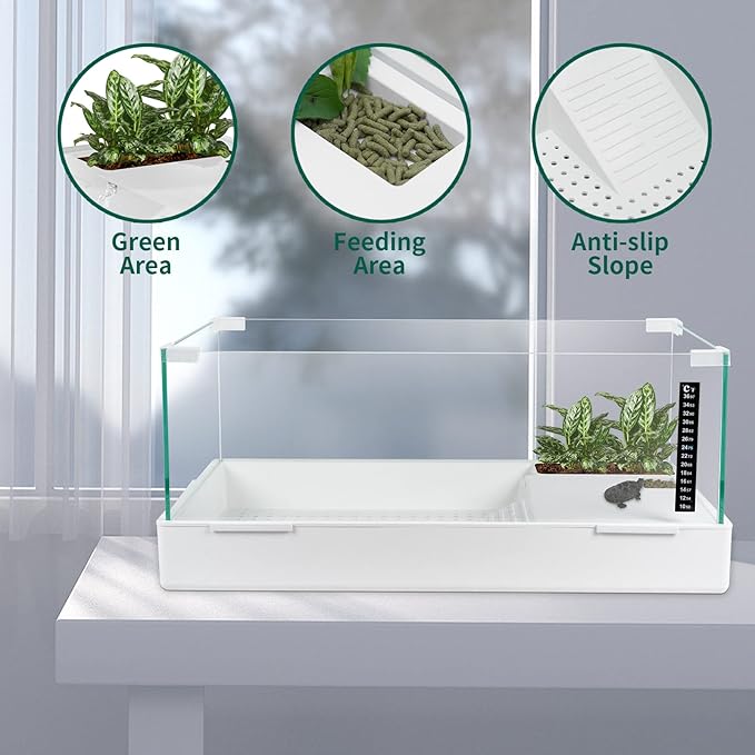 BETAZOOER Turtle Tank with Adjustable Water Pump Filter, Full View Visually Tortoise Aquarium Habitat, Glass Material Easy Changing Water&Clean for Small Amphibious Creatures Reptiles (23"×13.5"×10")