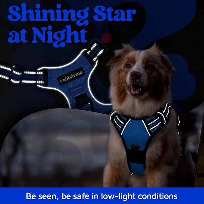 rabbitgoo Dog Harness for Large Dogs, No Pull Pet Vest with 3 Buckles, Adjustable Soft Padded Pet Harness with Easy Control Handle and Reflective Strips, Royal Blue, XL