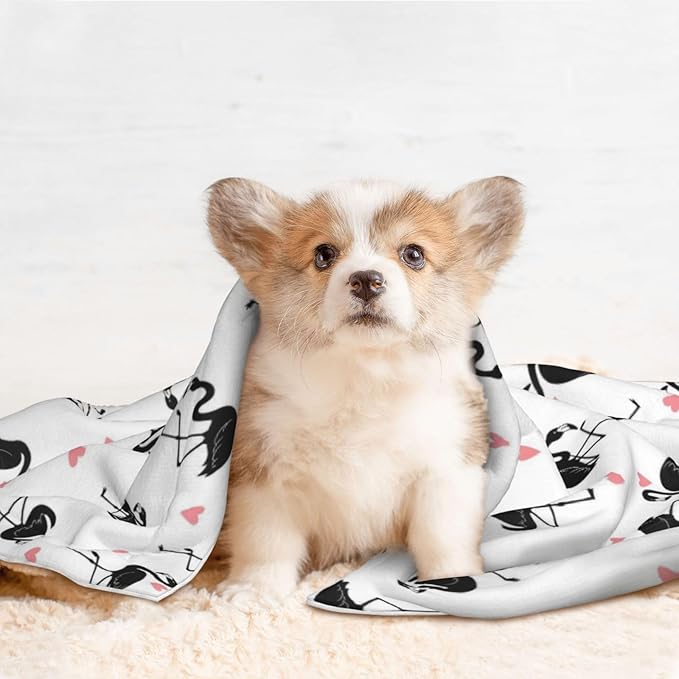 Pet Blanket for Travel and Home, Flamingo, Reversible Plush Dot Design with Soft Grip Texture on One Side Perfect for Car Seats Moving Vehicles