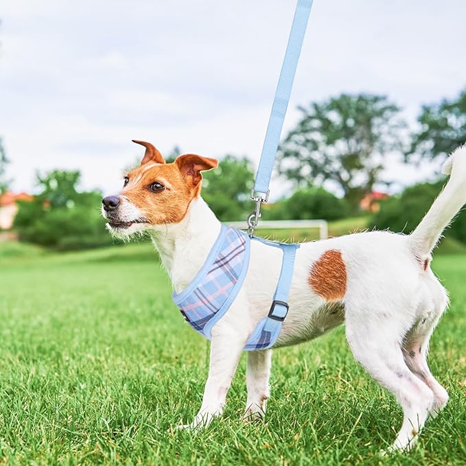 SCENEREAL Puppy Dog Harness with Leash Set for Small Medium Sized Dogs, Soft Mesh Pet Harnesses and Leash, No Chock Plaid Adjustable No Pull Vest for Dogs Cats, Chihuahua,Bulldog (Blue S)