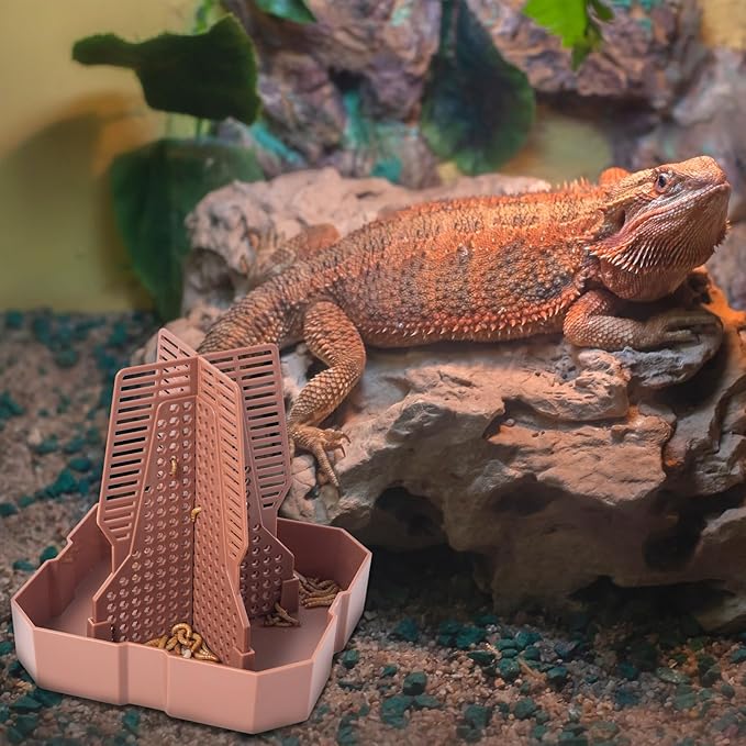 Reptile Feeder Bowls with Climbing Ladder for Chameleon,Bearded Dragon,Guardians Hunting Bugs Keep Training Terrarium Bowls for Lizards,Frogs,Geckos Other Small Pets,Brown (Large)