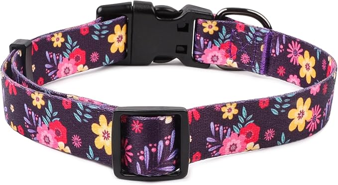 QQPETS Adjustable Soft Dog Collar: Print Flower Pink Multicolor Cute Patterns for XS Small Medium Large Pet Girl Boy Puppy Walking Running Training (M, Elegant Purple)