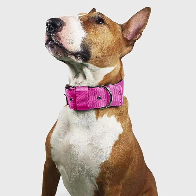 Heavy Duty Tactical Dog Collar - 1.5" Width Military Durable Thick Nylon with Adjustable Metal D Ring & Buckle Working Training K9 Collar for Medium Large Dogs (L(20"-23"), Hot Pink)