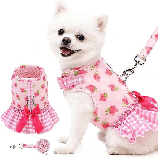 EXPAWLORER Dog Harness Small Medium Sized Dogs, Plaid Dog Dress Bowknot Harness and Leash Set, No Choke No Pull Soft Mesh Vest Cute Princess Puppy Outfits Clothes Costume for Girls Party Cats Pink S