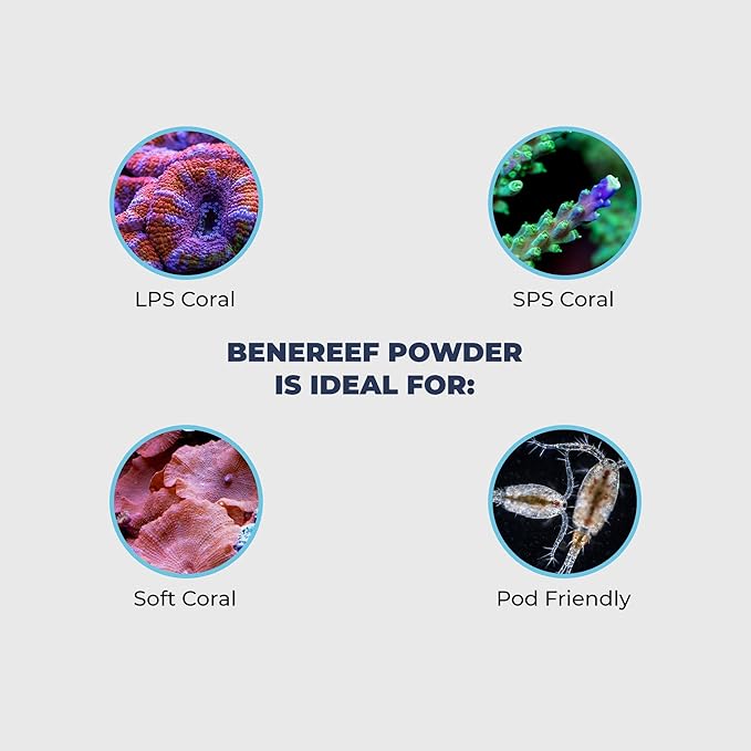 Benereef 160g Jar