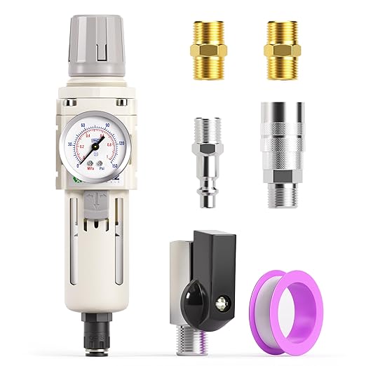 TAILONZ PNEUMATIC 3/8 Inch NPT Automatic Drain Air Filter Pressure Regulator