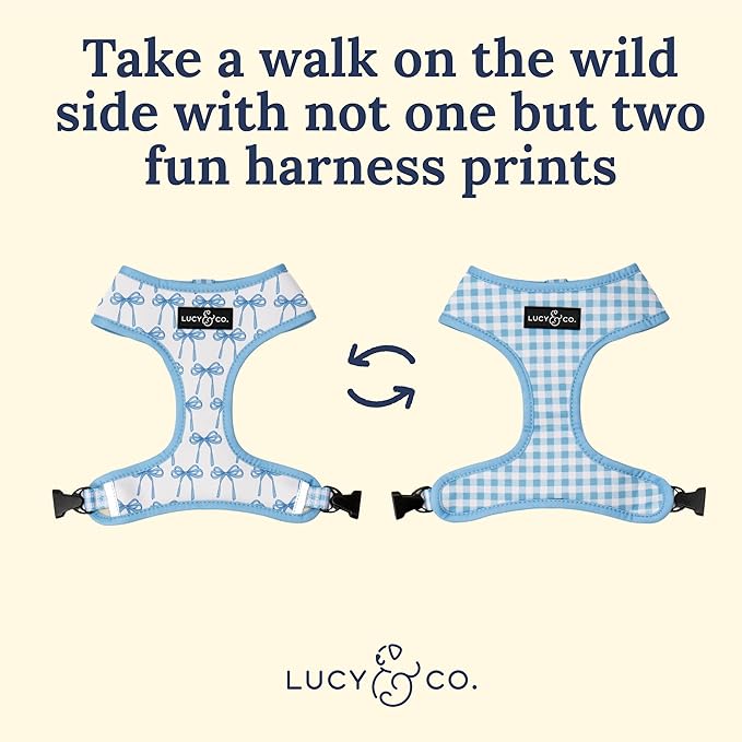 Lucy & Co. Cute Reversible Dog Harness Walking Halter - Best Designer Pet Harnesses for XS - XL Dogs - Padded Adjustable Vest for Easy Walking - X Small - White with Blue Bows