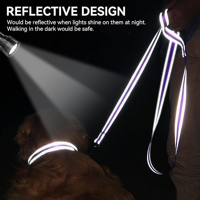 Joytale Dog Leash, 5 FT Double-Sided Reflective, Padded Handle Nylon Heavy Duty Leashes for Small Dogs Walking, Purple