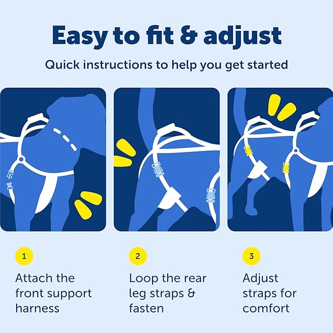 PetSafe CareLift Support Harness - Lifting Aid for Senior or Injured Dogs - Breathable Mesh - Machine Washable - Post-Surgery Dog Support - Medium