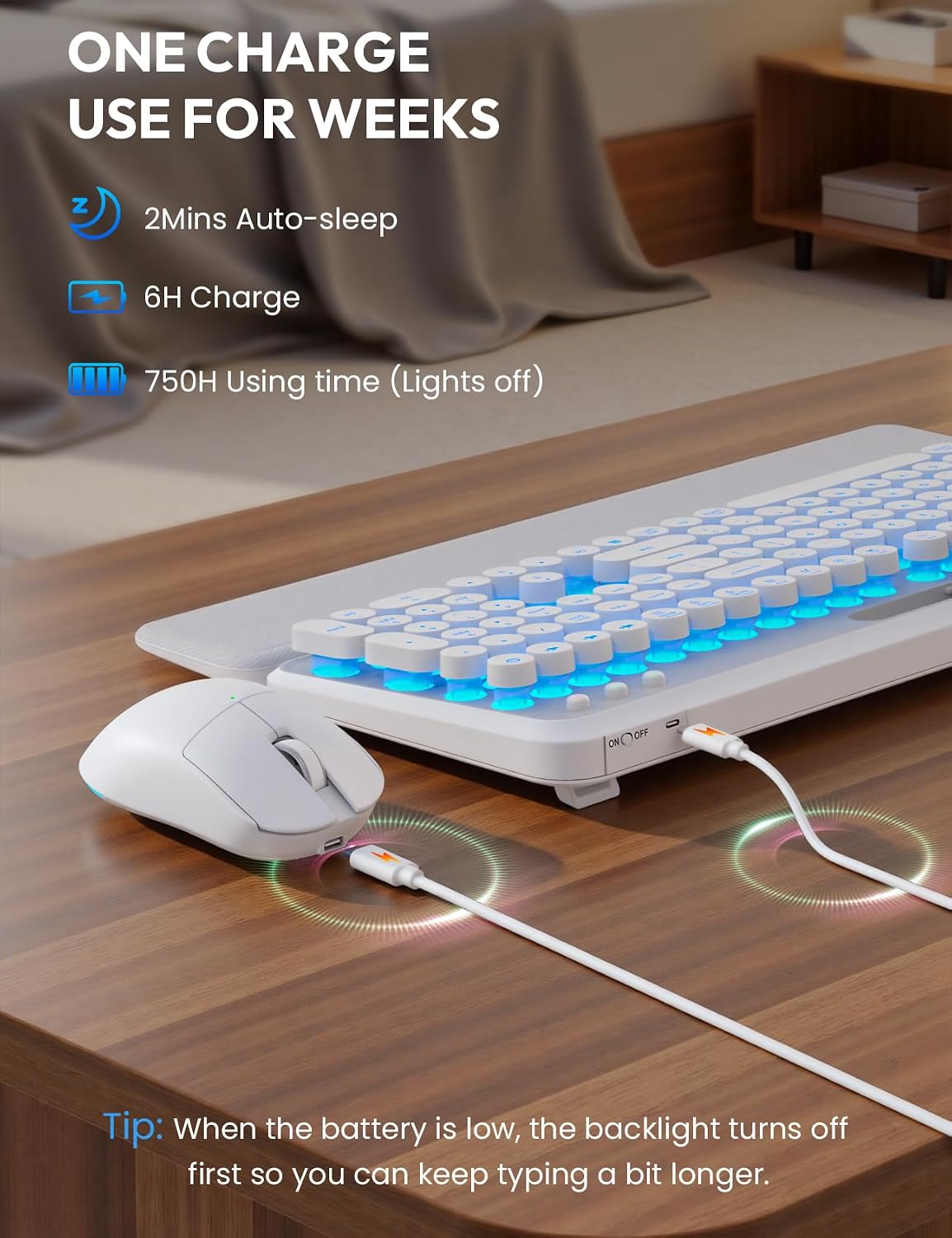 Wireless Keyboard and Mouse, Backlit Typewriter with Magnetic Wrist Rest