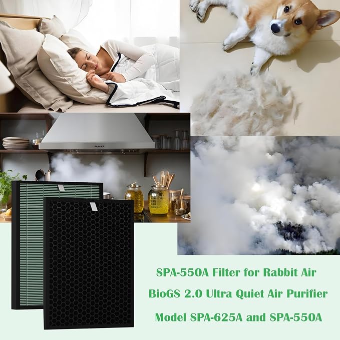 BioGS 2.0 Replacement Filter Kit Compatible