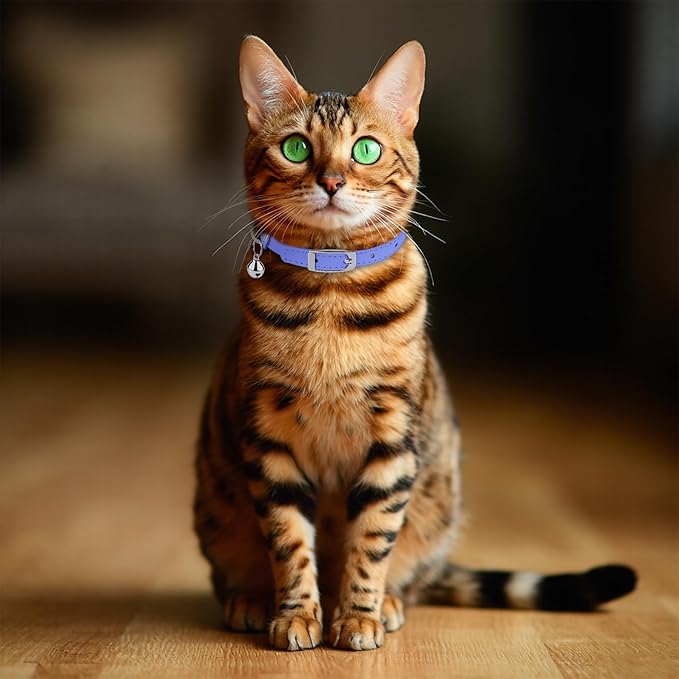 OOPSDOGGY Rolled Leather Cat Collar with Bell, Reflective Kitten Collars with Buckle Include Safety Elastic Strap - Adjustable Small Pet Collars for Boy Girl Cats (Lilac)