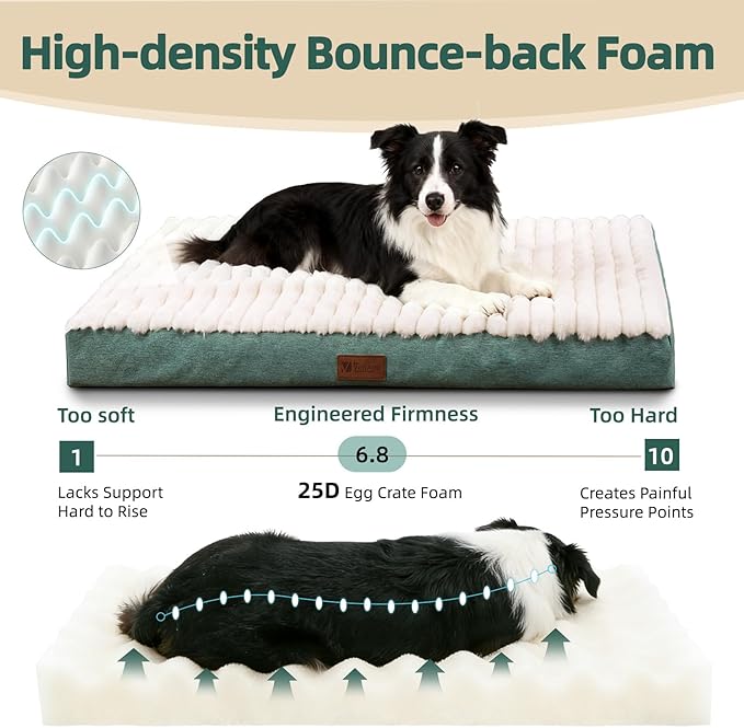 Orthopedic Dog Bed with Firm High-Density Egg Crate Foam Mattress,Soft Short Plush Surface Pet Beds,Machine Washable with Removable Cover & Non-Slip Bottom for Small Breeds (Green, 23"L x 17"W x 3"H)