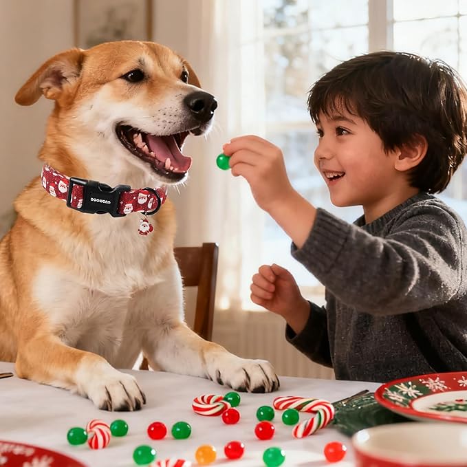 DOGWONG Christmas Dog Collar, Red Santa Claus Print Cute Dog Collars Winter Holiday Male Female Adjustable Puppy Collar for Small Dogs