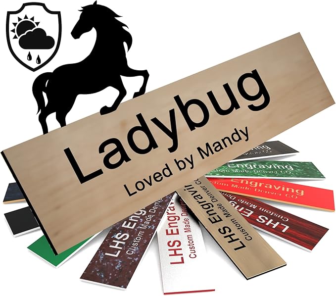 Personalized Horse Stall Name Plates, 2x6 Horse Stall Signs with Adhesive, All Weather UV Protected, Cashew Plastic Black Letters - Made in USA - N6