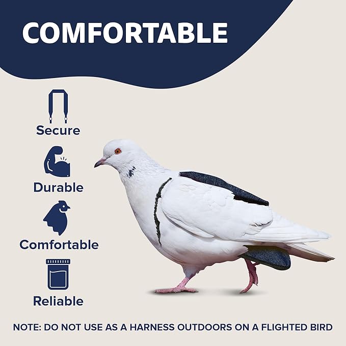 Bird Diaper, Wrap Around, for Larger Pigeons, Small Breed Hens and Roosters, Leak-Proof Design, Comfortable Fleece Strap Bird Harness with Sewn-in Liner & Secure Hook and Loop Closure - XS, Denim