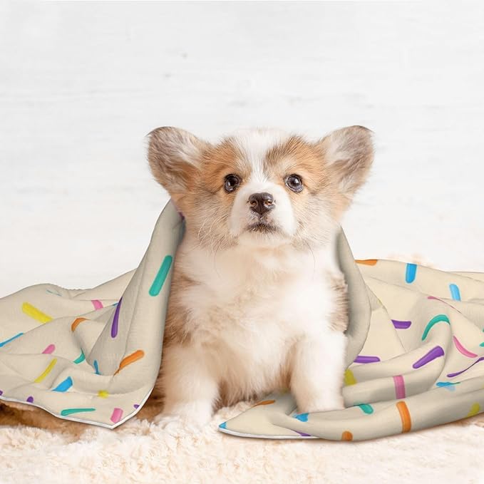 Two Sided Plush Pet Blanket for Crates Carriers Home Use, White Donut, Reversible Throw with Cozy Dot Fabric and Silky Reverse for Small Large Pets