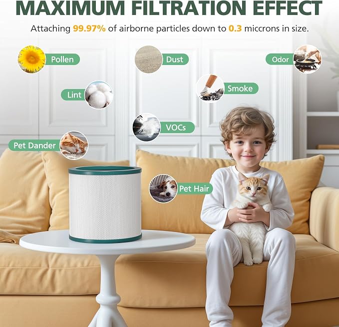 TP01 HEPA Replacement Filter Compatible