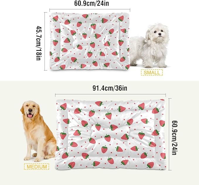 Pet Bed Strawberry Fruit Dog Bed Mat Absorbing Non Slip Pad Pet Sleeping Mat for Small, Medium, and Large Dogs Puppy Cat 36 in x 24 in