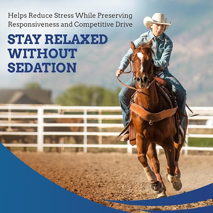 TryChill™ – L-Tryptophan-Based Support for Horses – Promotes a Composed Demeanor Without Sedation – Enhances Focus, Confidence & Performance – 100% Natural & Competition Safe
