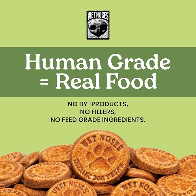 Wet Noses Organic Crunchy Dog Treats Grain Free – All-Natural, Human-Grade, Non-GMO, Healthy Training & Delicious Snacks for Dogs, for All Dog Sizes & Breeds – Apple Ginger, 14oz (2 Pack)