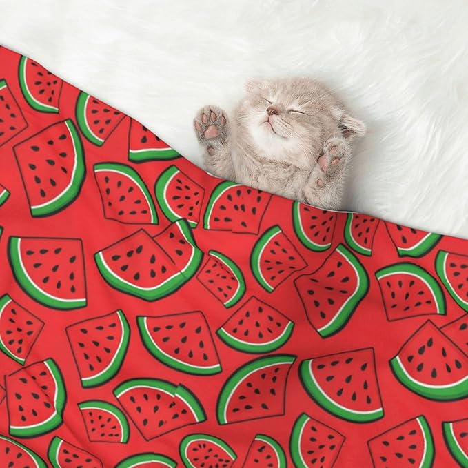 Pet Blanket for Travel and Home, Summer Fruit Red Green Watermelon, Reversible Plush Dot Design with Soft Grip Texture on One Side Perfect for Car Seats Moving Vehicles
