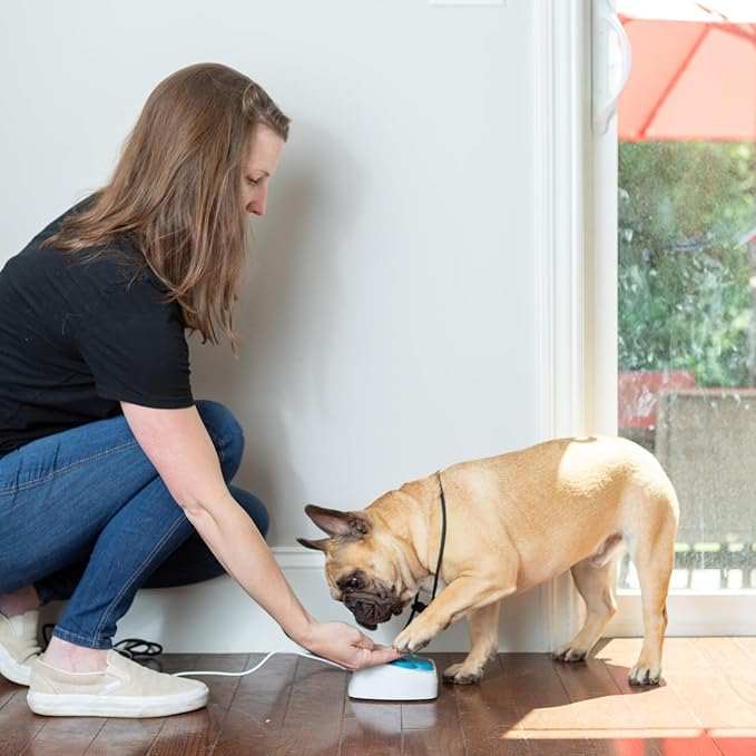 Dog Potty Training Talking Button & Service Dog Medical Alert System. Instant Notifications. 24/7 Live Camera. 2-Way Speaker. iOS & Android Compatible. No Subscription Needed.