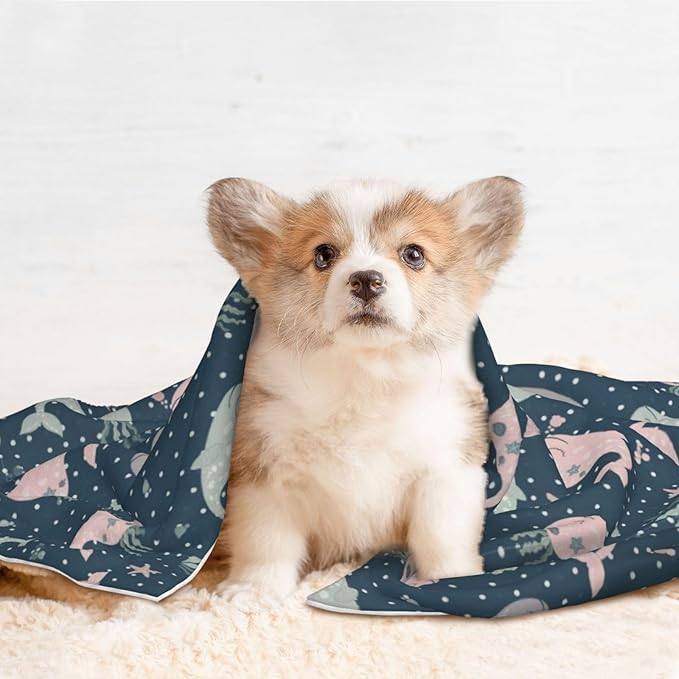 Double Sided Pet Mat for Dog Bed Topper Cat Blanket Furniture Protector, Cute Whales Mandala Blue, Reversible Plush with Tactile Dot Pattern for Style Change