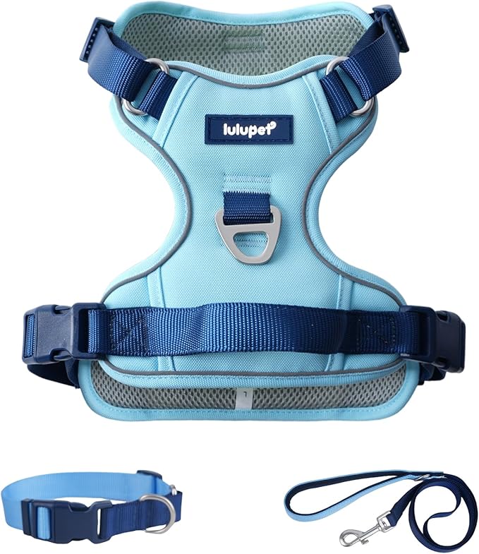 3 in 1 No Pull Dog Harness Leash and Collar Set, Soft Adjustable Dogs Vest Reflective and Comfortable Handle Blue Large