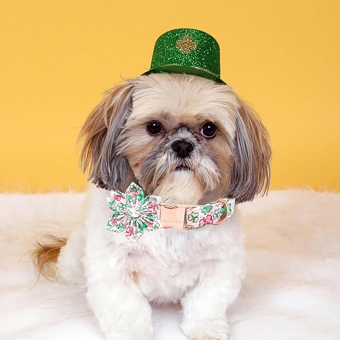 Lionheart glory St. Patrick's Day Dog Collar with Flower Dog Collars for Large Dogs, Heavy Duty Green Collars Lucky Clover Shamrock Dogs Collar Flower Puppy