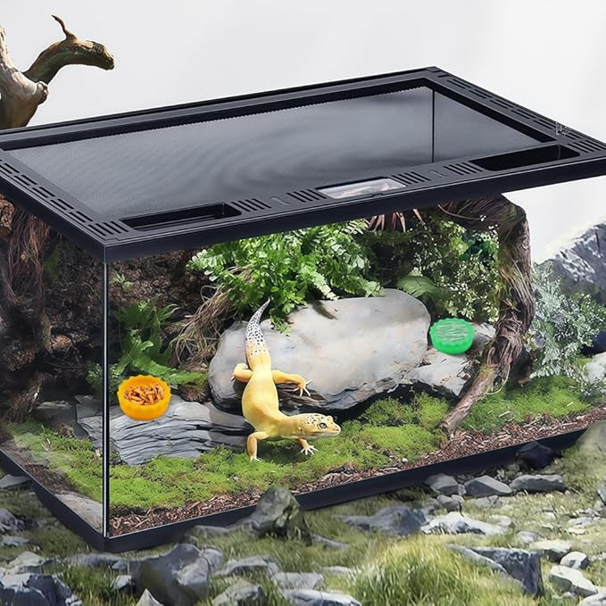 6 Pack Crested Gecko Small Food Dish Reptile Water Bowl Silicone Shallow Feeder for Small Reptile Lizard Gecko Frog Snake Turtle Hermit Crab (Small: 0.98" D, 0.43" H)
