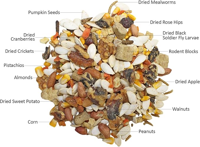 Exotic Nutrition Starter Package for Squirrels - Includes Healthy Food, Nest Box, Nesting Material, Natural Treat, Water Bottle & Food Dish