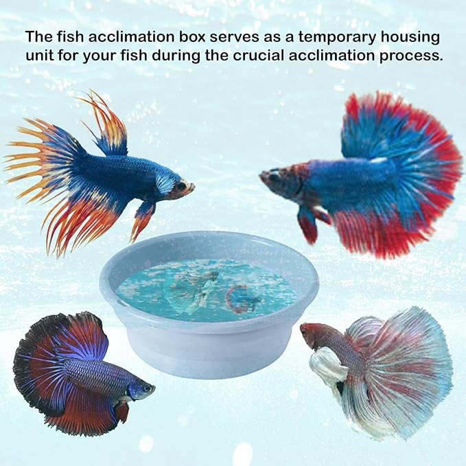 Foldable Fish Acclimation Box - Saltwater & Freshwater Aquarium Acclimator, Shrimp & Betta Fish Breeding Box