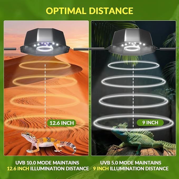 GlowUp UVA UVB Reptile Light 10W, LED UVB Light Bulb Fixture 120V with Dimming for Bearded Dragons, Turtles, Chameleons - 2 Modes UVA UVB Light Suitable for Tropical & Desert Reptiles